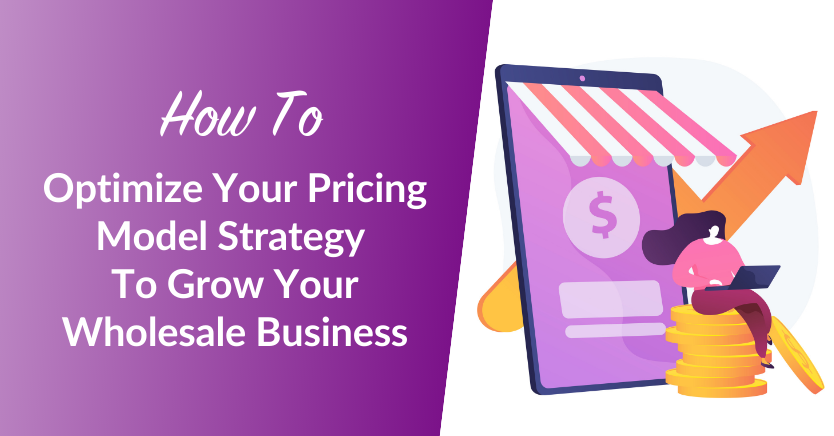 How To Optimize Your Pricing Model Strategy To Grow Your Wholesale Business