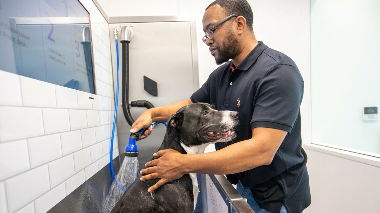 The Walmart Pet Services center will include a self-serve pet washing station.